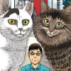 Le Journal des chats de Junji Ito chez Tonkam